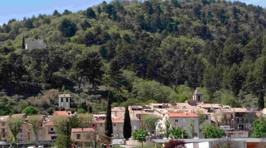 IMG-20210506-WA0003-1